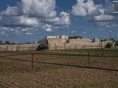 Riprendiamo la statale in direzione Foggia e dopo 1,2 chilometri svoltiamo per l�uscita Giovinazzo Nord/Terlizzi e da qui sulla SP107. Dopo appena 400 metri sulla sinistra scorgiamo fra i terreni coltivati la seconda nostra meta: Torre Rufolo