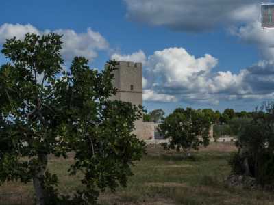...immersa in un prato e circondata da alberi da frutto