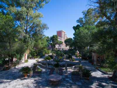 ...un putto che guarda estasiato l�immenso giardino, il vero cuore pulsante di questa residenza