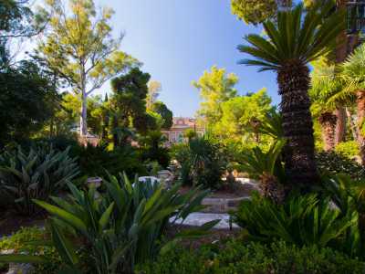 Ci ritroviamo immersi in un rigoglioso parco di 4500 metri quadri, selvaggio ma allo stesso tempo curato, fatto di imponenti eucalipti e pini, ma anche palme, cycas, piante di yucca e strelitzia