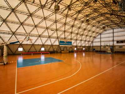 ...basket...
