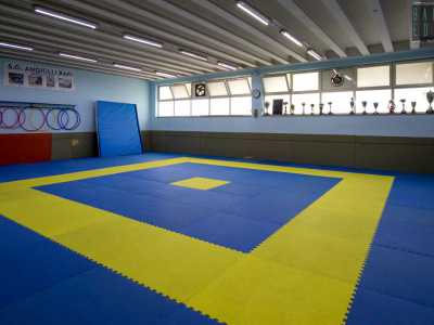 ...judo e lotta greco-romana...