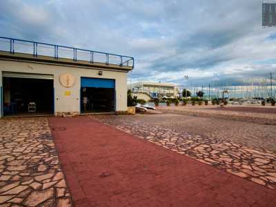 Fu solo negli anni 50 che nacque l�attuale sede di San Cataldo, all�epoca costituita dal solo deposito dei natanti per canoa e canottaggio. Rimessa che � ancora oggi esistente