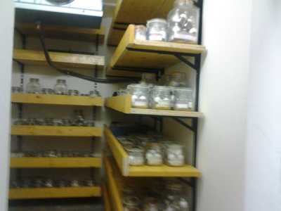 La banca del germoplasma