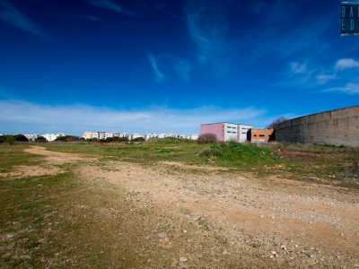 E infine la nostra pista. Guardando per terra capiamo di trovarci su una spianata in terra e pietrisco che gira attorno a tutto il campo sportivo. Pare in realt� una normale strada di campagna e guardandola si fa fatica a immaginare che si tratti in realt� del tracciato del grande circuito automobilistico