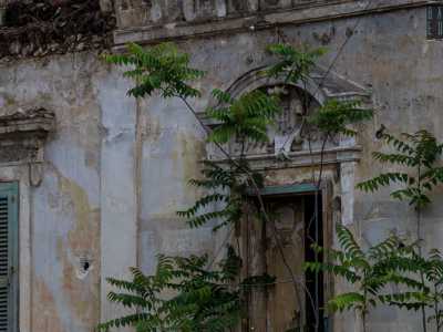 E qui notiamo un piccolo timpano che sovrasta il portone principale: reca un bassorilievo a forma di scudo con due decori vegetali ai lati. Al centro della decorazione ritroviamo poi le misteriose lettere, �T� e �R� che avevamo notato sul vecchio cancello