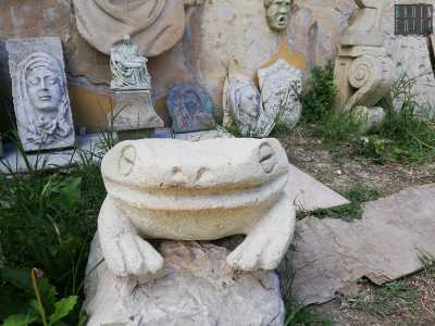L'artigiano ci guida poi prima nella zona degli animali. Notiamo immobili una rana...