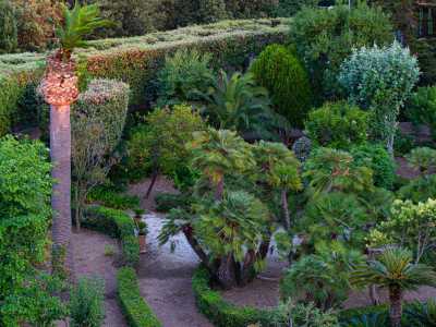 Varchiamo quindi la soglia, per accedere al grande giardino "all'italiana", che pullula di siepi, piante e alberi secolari...