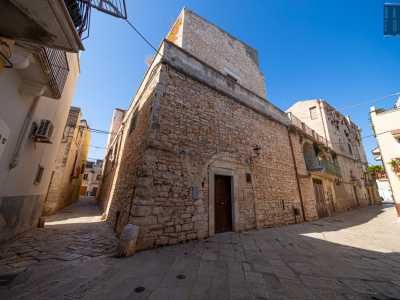 In realt� la famiglia costru� l�edificio su una ben pi� antica struttura risalente all�XI secolo: il Castello di Binetto. Circumnavigando tutto il perimetro dell�immobile, � possibile ammirare delle mura e una torre laterale dall�aspetto evidentemente pi� datati rispetto alla facciata