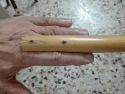 Come anche caratteristico � il ditale in legno che serviva a proteggere le mani degli uomini quando si tagliava il grano con la falce durante la mietitura