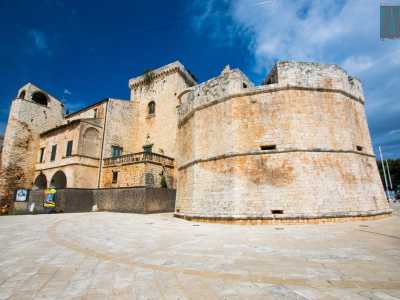...sembra proprio ricordare quella poligonale del maniero di Conversano