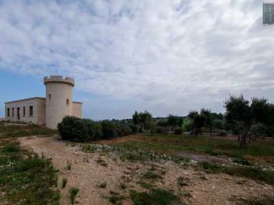 Spostandoci sul lato sinistro del muro di confine, possiamo invece osservare il retro della dimora: una costruzione squadrata a un piano suddivisa da quattro finestre con al centro il varco di ingresso
