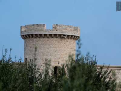 ...tra cui la bianca torre principale