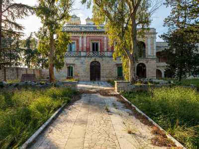 Il giardino � dominato da un lungo viale alberato che dall�ingresso porta alla struttura principale, ovvero l�elegante villa a due piani di fine 800