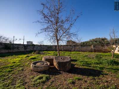 ...e ci introduciamo nel giardino interno attraverso un cancello cinto da un alto muretto. Al centro, ai piedi di un alberello, sono posizionati quattro oggetti tondi di pietra