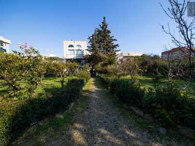 Torniamo sul sentiero, passeggiando rilassati tra agrumeti e alberi in fiore