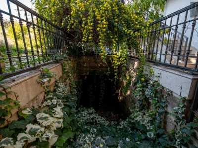 Dopo pochi passi, sulla destra, spunta un piccolo ingresso parzialmente coperto da una miriade di fiori gialli