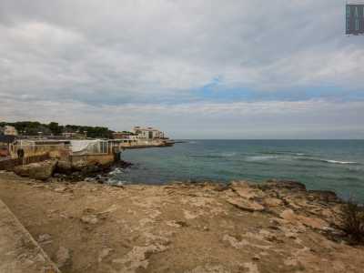 ...e un istmo noto come "la punta�