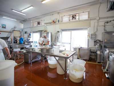 Mentre parliamo, avvolti dal forte odore di latticini, ammiriamo l�impegno con cui Massimo e i suoi collaboratori lavorano i latticini su un grosso banco di dispersione pieno d�acqua bollente