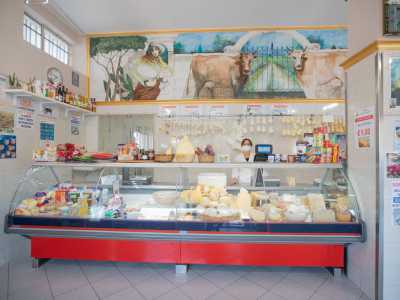 Una volta entrati veniamo attratti dal lungo bancone che sfoggia svariati tipi di formaggi e dietro cui sono appese scamorze dai tanti formati