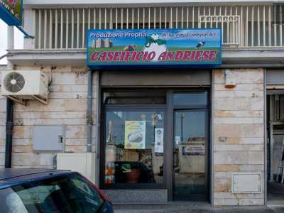 ...salutiamo la famiglia gioiese e proseguiamo il nostro giro spostandoci all�inizio di strada San Giorgio Martire, l� dove si trova il �Caseificio Andriese