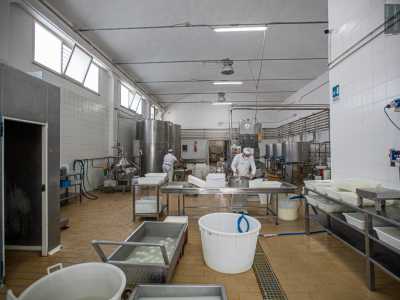 Accanto vi � una piccola porticina che ci conduce nell�ampio laboratorio circondato da serbatoi di stoccaggio, salamoie, tinozze e banchi di dispersione