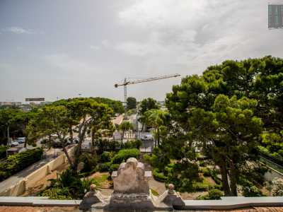 ...da cui possiamo avere una visione complessiva del rigoglioso giardino che si affaccia sul trafficato corso Alcide de Gasperi