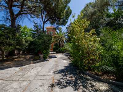 �Abbiamo palme, pini mediterranei, gelsi e l�albero di Giuda - ci racconta la proprietaria Francesca Telio, che ha rilevato la villa nel 2010 -. Alcune piante sono state aggiunte da noi, ma la maggior parte risale a quando la villa fu costruita�