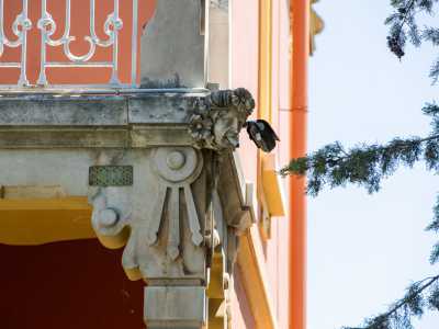 ...per le decorazioni liberty...