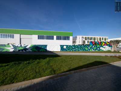 ...e il laboratorio dove viene essiccata. Quest�ultimo � colorato da un murale che raffigura gli organismi �pionieri� nati sulla Terra, tra cui c�� proprio la spirulina che pare sia stato una delle prime forme di vita vegetale in grado di emettere ossigeno