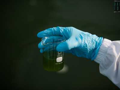 �Dobbiamo assicurarci che la spirulina stia crescendo sana e forte - sottolinea il chimico -. Solo quando � diventata �adulta� viene infatti separata dall�acqua, attraverso un setaccio chiamato vibrovaglio...