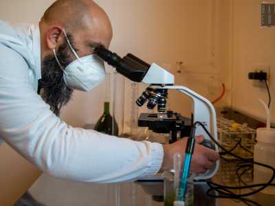 ...per essere controllato al microscopio