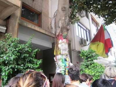 foto scattata dai ragazzi della III E all'albero dedicato a Falcone (Palermo)