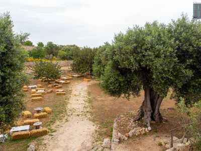 Per visitare il secondo e pi� grande ipogeo, attraversiamo il letto della lama in cui cresce rigogliosa la vegetazione