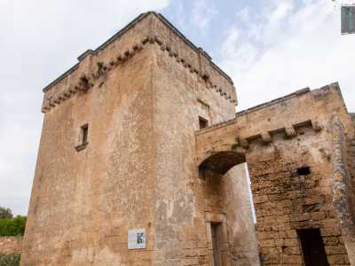 Ad eccezione del ponte levatoio in legno, � rimasta intatta. L�arco d�ingresso � sormontato da una caditoia alla quale si accede con una doppia scala addossata al muro di cinta