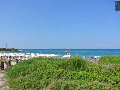 ...dalla ampia e movimentata Rodos...