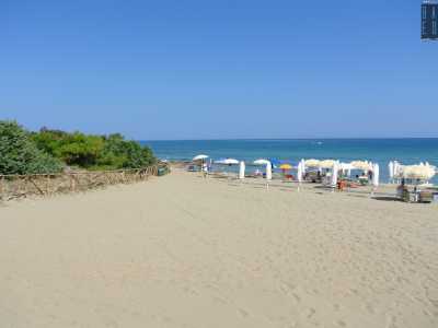 ...arriviamo infine in una delle spiagge: stiamo parlando del Capanno, ampia zona sabbiosa con un�area libera...