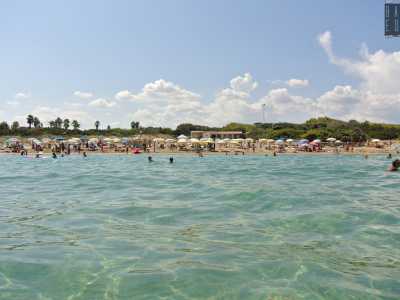 La storia di Rosa Marina