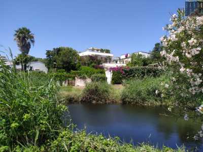� il villaggio privato di Rosa Marina, buen retiro della borghesia del capoluogo pugliese, composto da circa 1500 villette con giardino e 22 km di stradine interne oltre che da spiagge, campi sportivi, area fitness, piscina e tanto altro