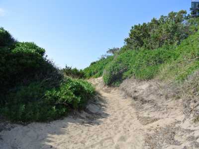 La macchia mediterranea e la sabbia si fondono formando le speciali dune di Rosa Marina, modellate dal frequente maestrale