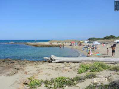 Gli arenili rosamarinesi sono in tutto sei, tutti diversi tra loro. Partendo da nord si passa dalle calette piccole e scogliose di Cala...