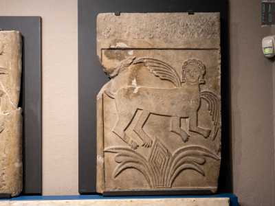 Disposte su una parete notiamo invece quattro lastre in marmo. Si tratta di plutei: balaustre rettangolari adibite a dividere in due parti un edificio. Le due poste pi� in alto sono addirittura  di epoca longobarda, del VII-VIII secolo e raffigurano una sfinge...