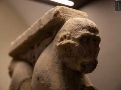 I primati avevano per� in et� bizantina un�accezione negativa perch� visti come una cattiva imitazione dell�uomo e quindi opera del demonio