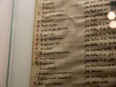 Giungiamo ora alla parte dedicata al periodo Normanno-Svevo. Bari fu conquistata dal re normanno Roberto il Guiscardo nel 1071. Pochi anni dopo, nel 1087, avvenne la traslazione delle ossa di San Nicola da Myra a Bari. Dell�evento � qui conservata un�eccezionale testimonianza: una pergamena del 1175 contenente la lista dei nomi degli eredi dei 62 marinai che trasportarono le reliquie in citt�