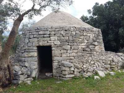 I pagliari sono edifici dalla forma conica, talvolta scaglionata a gradoni, e di piccolo volume, ideali per conservarvi attrezzi da campagna (qui un esemplare presente a Giovinazzo)