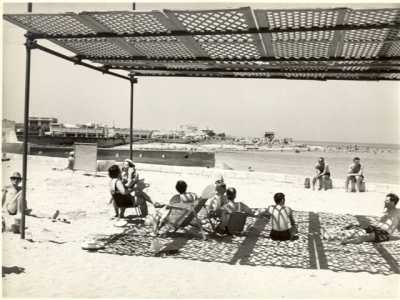 ...attivo dall�inizio degli anni 50