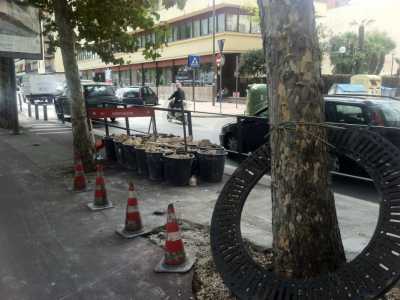 Pista ciclabile di Viale della Repubblica: i lavori di manutenzione