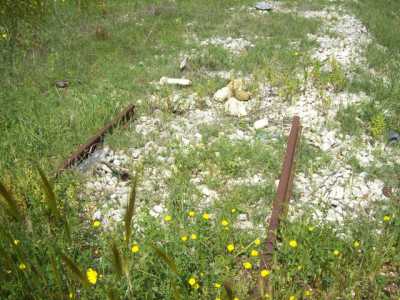 Un tratto di binari della vecchia tramvia ancora visibile (2)