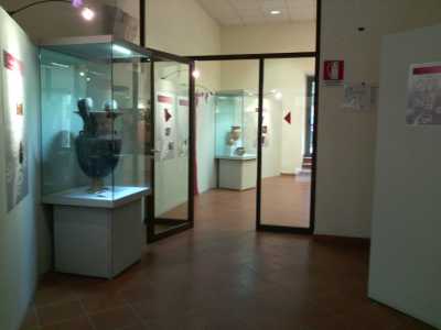 La sala che ospita la mostra "Ceramiche Apule"