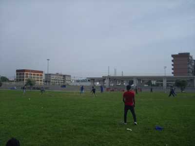 Cricket a Parco Perotti